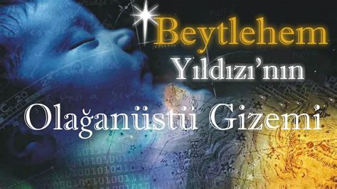  Nassa: Denizlerdeki Minyatür Evler Sahibi Olağanüstü İğneliklerin Gizemi!