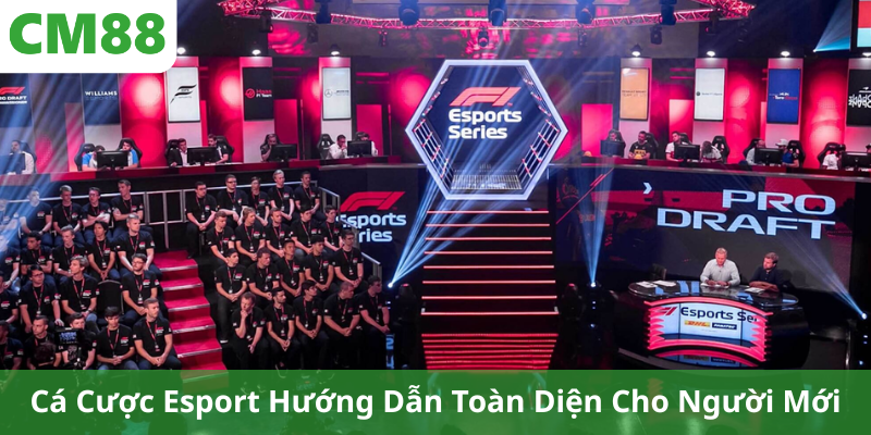 Cá Cược Esport Hướng Dẫn Toàn Diện Cho Người Mới